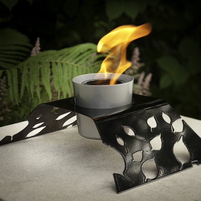 Aspen Gel Fuel and BioEthanol Tabletop Fireplace AllModern